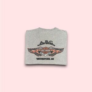 Vintage Harley Davidson Waterford Michigan t-shirt
